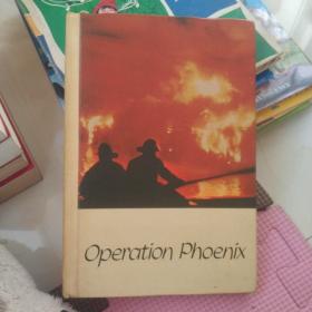 Operation phoenix