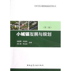 小城镇发展与规划(第2版)