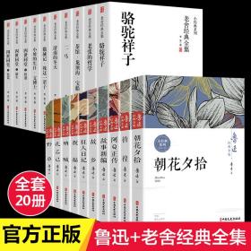 （全20册）鲁迅经典全集(全10册)+老舍经典全集(全10册) 9787520520072