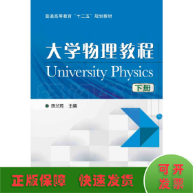 大学物理教程（下）