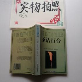 圣洁百合