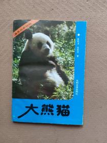 大熊猫