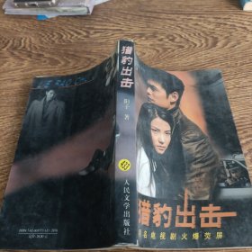 猎豹出击