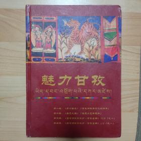 魅力甘孜【四张光碟】
