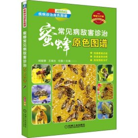 【正版新书】蜜蜂常见病敌害诊治原色图谱