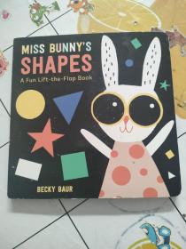 MISS BUNNY'S SHAPES（精裝，內頁一點點破損?。? onerror=
