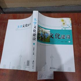 大学德育研究丛书：大学文化建设（上）