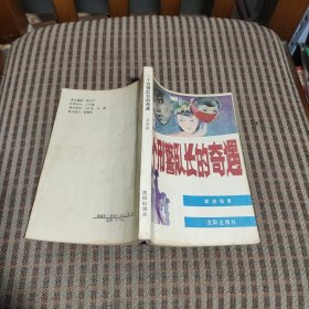 一个刑警队长的奇遇