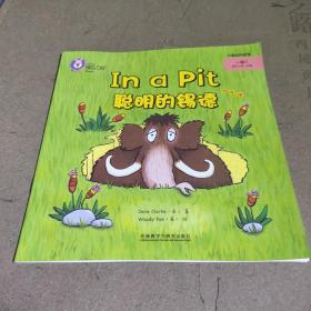 In a pit 聪明的锡德
