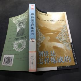 钢铁是怎样炼成的
