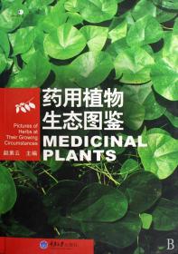 全新正版 药用植物生态图鉴 赵素云 9787562448242 重庆大学
