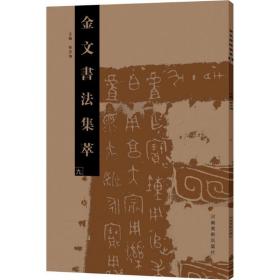 全新正版 金文书法集萃(9) 张志鸿 9787540139933 河南美术出版社