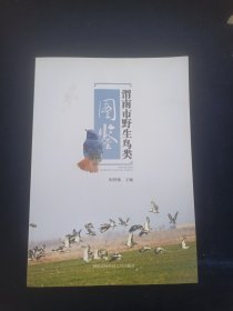 渭南市野生鸟类图鉴
