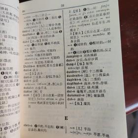世界语新词典