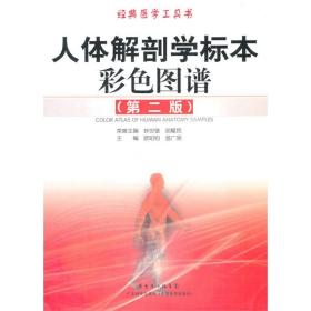 人体解剖学标本彩色图谱(第2版) 钟世镇 9787535951557 广东科技出版社