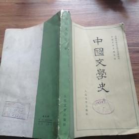 中国文学史 三