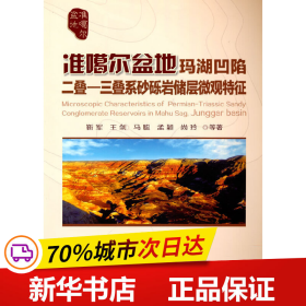 全新正版！准噶尔盆地玛湖凹陷二叠—三叠系砂砾岩储层微观特征靳军，王剑，马聪，孟颖，尚玲 著9787518347537石油工业出版社