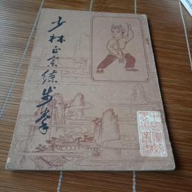 少林正宗练步拳