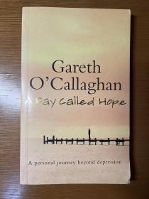 A Day Called Hope: A Personal journey beyond depression