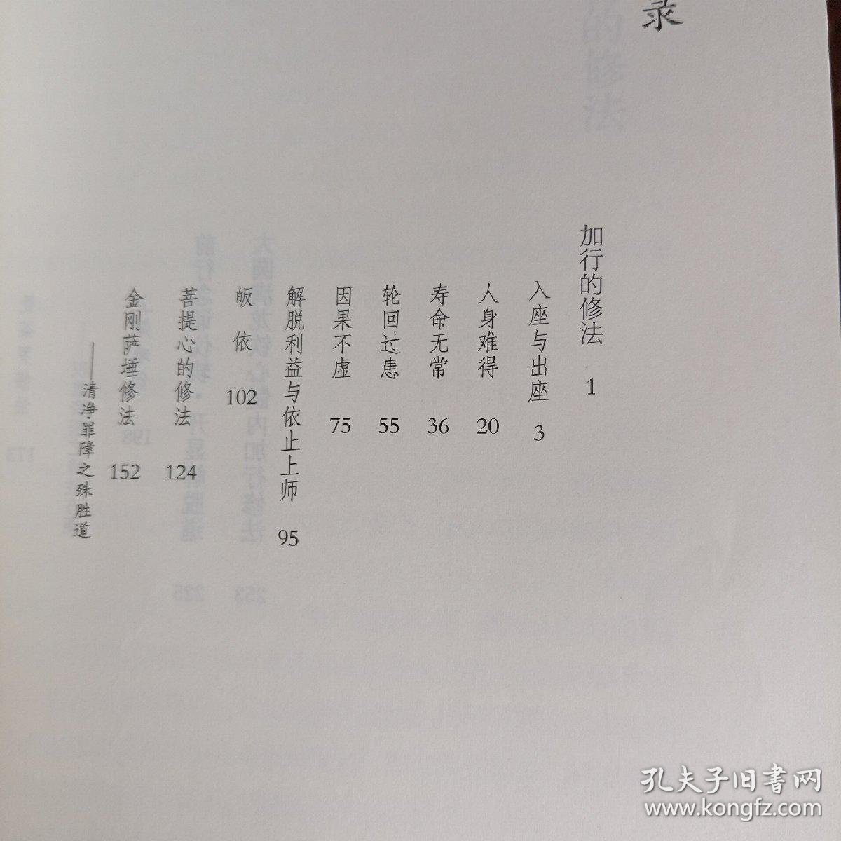 慧灯之光：照亮前行的道路