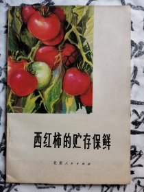 西红柿的储存保鲜 .T00220