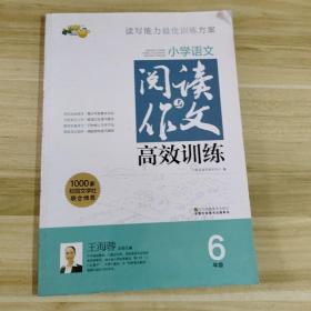 小学6年级语文阅读与作文高效训练