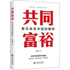 共同富裕 看见未来中国的模样 王立胜 9787522312002 中国财政经济出版社