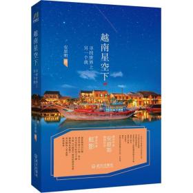 越南星空下(寻找世界上另一个我) 中国现当代文学 安思明