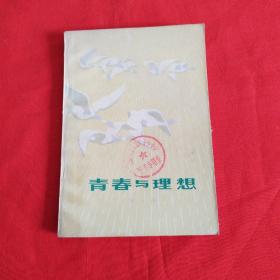 青春與理想——寄語新長征的年輕戰士