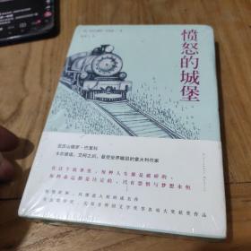 愤怒的城堡：《海上钢琴师》原著作者巴里科惊艳欧洲的成名作(未拆封)精装
