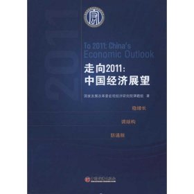 走向2011：中国经济展望