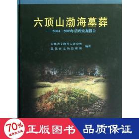 六顶山渤海墓葬/2004-2009年清理发掘报告 文物考古 王洪峰