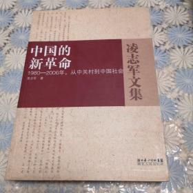 中国的新革命－1980－2006年，从中关村到中国社会