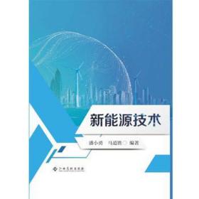 新能源技术 化工产品 潘小勇，马道胜编著 新华正版