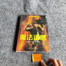 魔法诱惑II