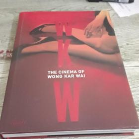WKW：The Cinema of Wong Kar Wai王家卫的电影艺术