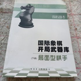 《国际象棋开局武器库 局面型棋手》（下册）16开 j5cf1