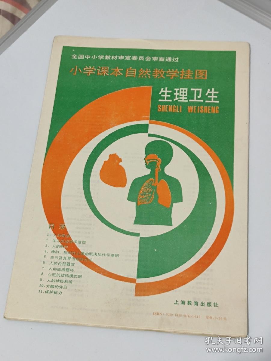 小学课本自然教学挂图生理卫生8张合售1人的骨骼2坐立的姿势示意图3人