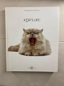 Photographs by Jane Burton：A Cat’s Life（6开精装）原版如图、内页干净（包邮）