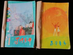 《辽宁青年》半月刊，1983年1-24期，合订为两册