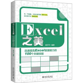 正版书Excel之美：迅速提高Excel数据能力的100个关键技能