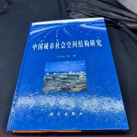 中国城市社会空间结构研究
