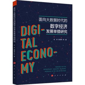【正版书籍】面向大数据时代的数字经济发展举措研究
