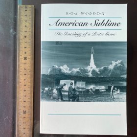 American Sublime: The Genealogy of a Poetic Genre Wisconsin Project 英文原版