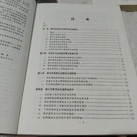 重庆地区煤与瓦斯突出防治技术