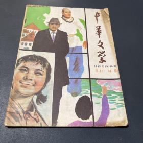 中华文学1985 19-20