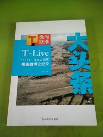 大头条：日本3.11大地震搜狐微博全纪录