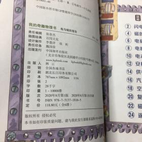 我的奇趣物理书 殿宇磁的报告