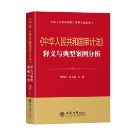 《中华共和国审计》释义与典型案例分析 审计 翟继光,姜文新 新华正版
