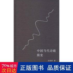 中国当代诗歌简史 1968-2003 诗歌 张桃洲